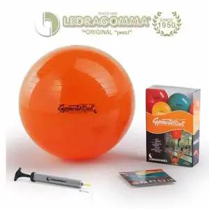 (이태리 레드라곰마 짐네스틱) 짐볼 스탠다드 53