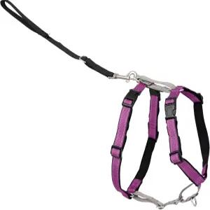 펫세이프 3-in-1 하네스 - 당김 질식 및 재갈을 줄이기 위해 앞줄이 부착된 편안한 걷기 쉬운 반려견 가슴