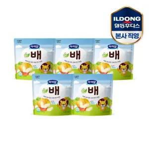 아이얌 동결건조 과일칩 순배 5개