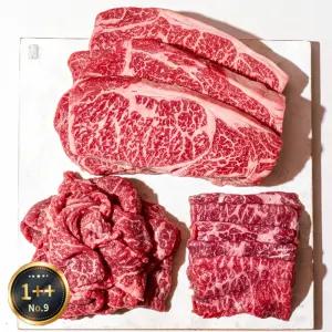 [미쓰하누]1++No.9등급 한우 등심모듬 600g 등심+눈꽃로스구이