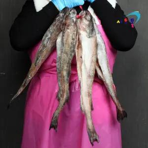 반건조 코다리(특대) 4미 2kg내외 냉동 깔끔손질