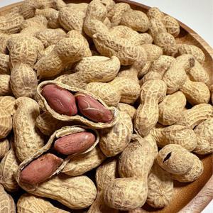 볶음 피땅콩 1kg /견과 볶음 땅콩 견과류 정월대보름 부럼