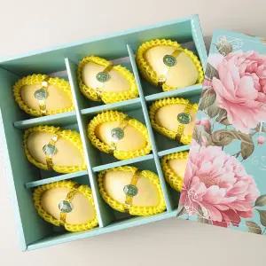 [델리후르츠] 베트남 골드망고 프리미엄 선물세트 9과