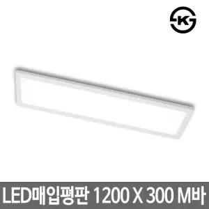 하이디 LED매입평판등 면조명 1200x300 M바