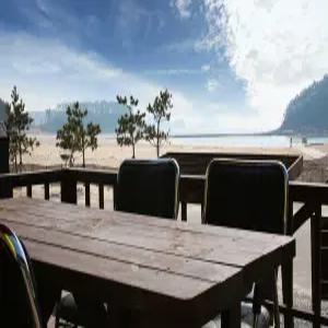 [충남] 태안 천리포은하수펜션(충남, 태안)