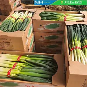 [서진도농협] 진도 대파 3단(3kg) 지리적표시인증