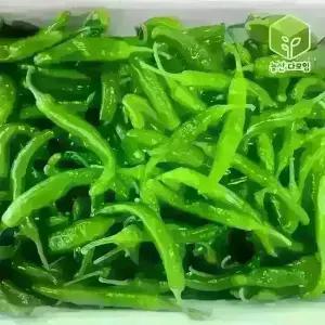 풋고추 아삭이고추 오이맛 오이고추 상 10kg