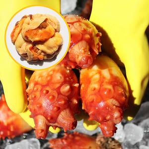 통영 장보고닷컴 손질 세척된 활 멍게 2kg