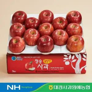 [대경사과원예농협]청송 가정용 부사 사과 3kg 12-15과