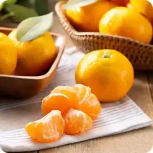 제주 노지 조생감귤 5kg 외 택1 가정용 제주감귤