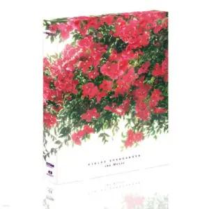 [Blu-ray] 바이올렛 에버가든 극장판 (2Disc, 4K STEELBOOK EDITION, 렌티큘러 650장 한정판, 우리말 녹음 + 스틸북 + 66p 가이드북 + 쿠키 장면 스탠드 + 일본 직수입 35mm 필름컷 포함) : 블루레이 /예 ...