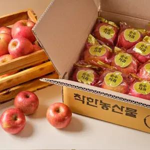 순수 햇 세척사과 5kg 꼬마소과(20-30과 내외)