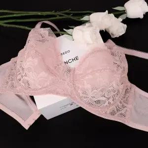 [비너스] 블룸 레이스 와이어 홑겹 브라 / 여성속옷 브래지어 B컵 C컵