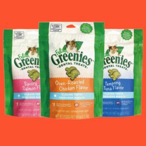 그리니즈 필라인 고양이 덴탈스낵 이빨과자 3종 콤보 60g 3개