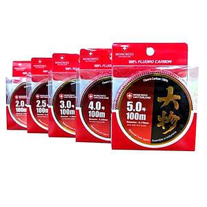 몽크로스 대물카본 100m 민물원줄 바다목줄 카본낚시줄