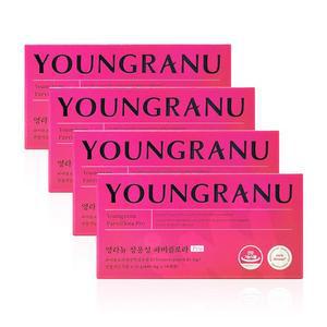 영라뉴 장용성 파비플로라 PRO 440mg x 14캡슐 x 4박스 WYS