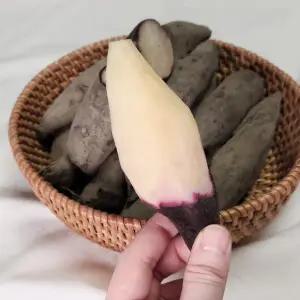 하늘채농원 25년 강원도 토종야콘/붉은야콘 땅속과일 땅속의 배 5kg 10kg