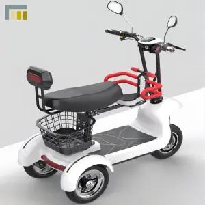 세발 전기자전거 애견 동반 접이식 삼륜 스쿠터 전동 성인용 출퇴근