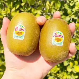 제주 제스프리 골드키위 대과 키위 10과