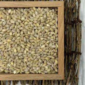 국산 유기농 찰보리 보리쌀 늘보리 통밀 1kg