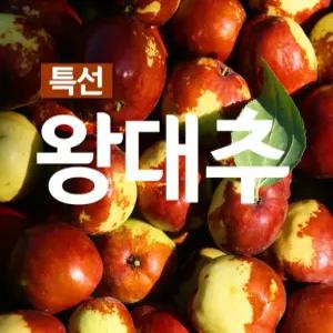 대추나무 묘목 슈퍼왕대추 3~4년생 결실주