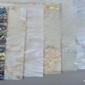 자개판 재료 조개 껍질 칼조개 공예 천연 자개 카멜리아