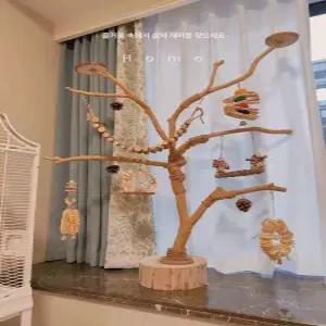 앵무새 장난감 간식 꼬치 퀘이커용 횟대 포치 코뉴어용