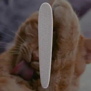 그루밍 고양이 브러쉬 빗 털 혓바닥