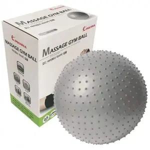짐볼 65cm 실버 운동볼 트레이닝 마사지