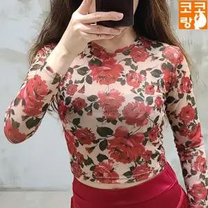 칸테 라인댄스 밸리 줌바 댄스티 무용티 벨리복 에어로빅 무대 공연 연습