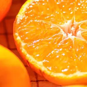 12브릭스의 고당도 제주 노지감귤 새콤달콤 노지귤 대과 10kg