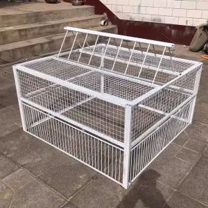 새 포획 틀 케이지 구조 덫 퇴치 조류 포획틀 모이통 클래식 화이트 프레임 60x60x50