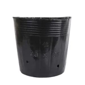 비닐포트 일회용 대용량 모종 육묘컵 포장 식물 원예 화분