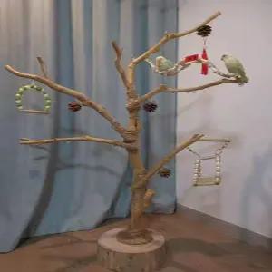 앵무새 놀이터 나무 스탠드 브래킷 새집 용품 조류 하우스 훈련 새장 장난감 대형 링 원목