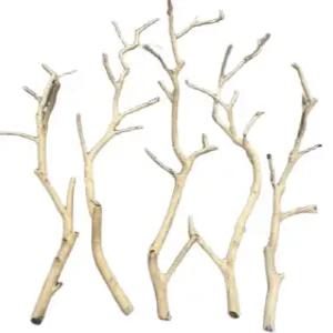 조류 놀이터 앵무새 정글짐 사다리 그네 횃대 스탠드 대형 버드토이 케이지