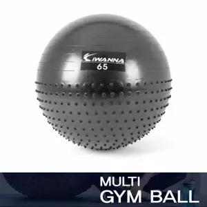 IW 홈트 필라테스 실내운동 마사지 멀티 짐볼 65cm