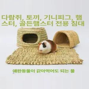 닭둥지 산란장 닭산란통 알통 닭집 메추리 산란통