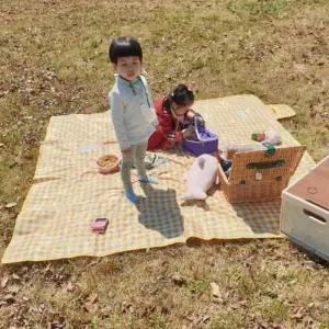 ( )체크무늬 방수 피크닉 돗자리 매트 옐로우 대형 돗자리