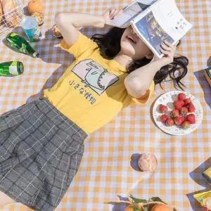 ( )대형 방수 소풍 돗자리 경량 휴대용 매트 한강 캠핑 야외활동 양면 사용