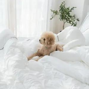 SS 차렵 잠트리 M2 테라피 침구 화이트 이불패드세트 알러가드 교감 호텔