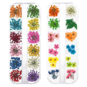 자우무네 2박스 네일 아트용 3D 드라이 플라워, 24가지 색상 미니 천연 리얼 플라워 스티커 팁 매니큐어 장식 혼합 액세서리(DIY 파이브 꽃잎 잎 석고필라 플라워)
