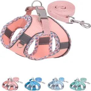 소형견을 위한 페트랭크 개 하네스 노 풀 강아지 및 목줄 세트 걷기 달리기 훈련용 스텝 인 도그 벨트