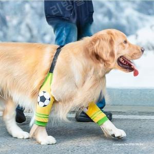 골든리트리버 커버 다리커버 애완견 무릎보호대 팔꿈치 슬개골 보호대 대형견