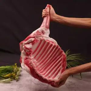 고기모형 돼지고기 정육점 소품 돼지머리 샘플 훈제