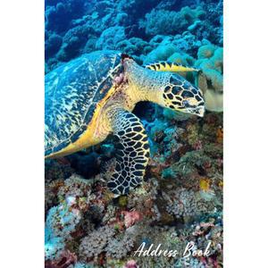 주소록: 알파벳 탭, 바다 거북 애호가, 기록 연락처, 주소, 이메일, 생일 및 기념일 포함 전화