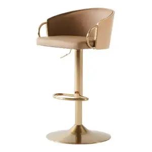 [하이파가구]머그 골드홉바의자 색상2