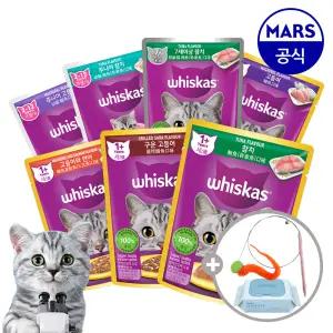 위스카스팩 파우치 24개 골라담기+고양이낚시대+베베숲물티슈