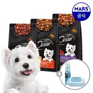시저 건사료 1kgx2개 골라담기+애견칫솔+베베숲물티슈