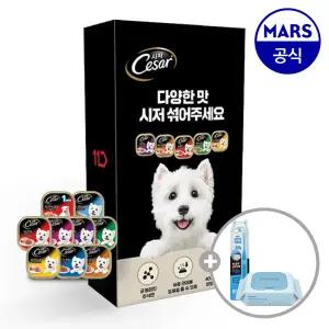 [11번가 단독팩] 시저 주식캔 26개 골라담기+애견칫솔+베베숲물티슈