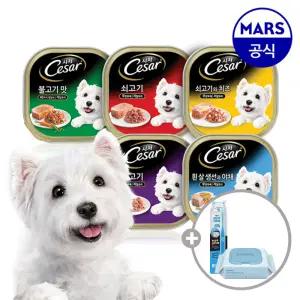 [24+24] 시저 주식캔 100gx48개 골라담기+애견칫솔+베베숲물티슈